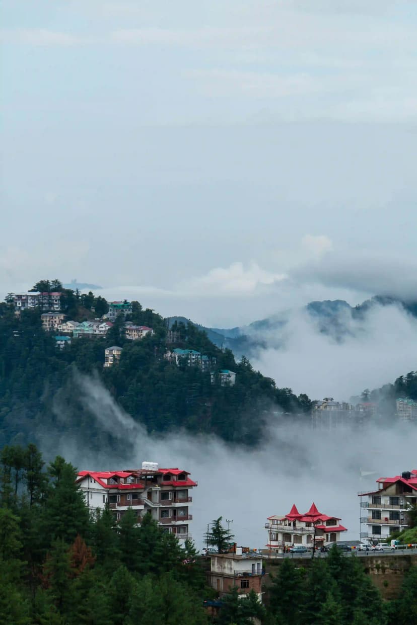 Shimla Tour Package for Couple - 2