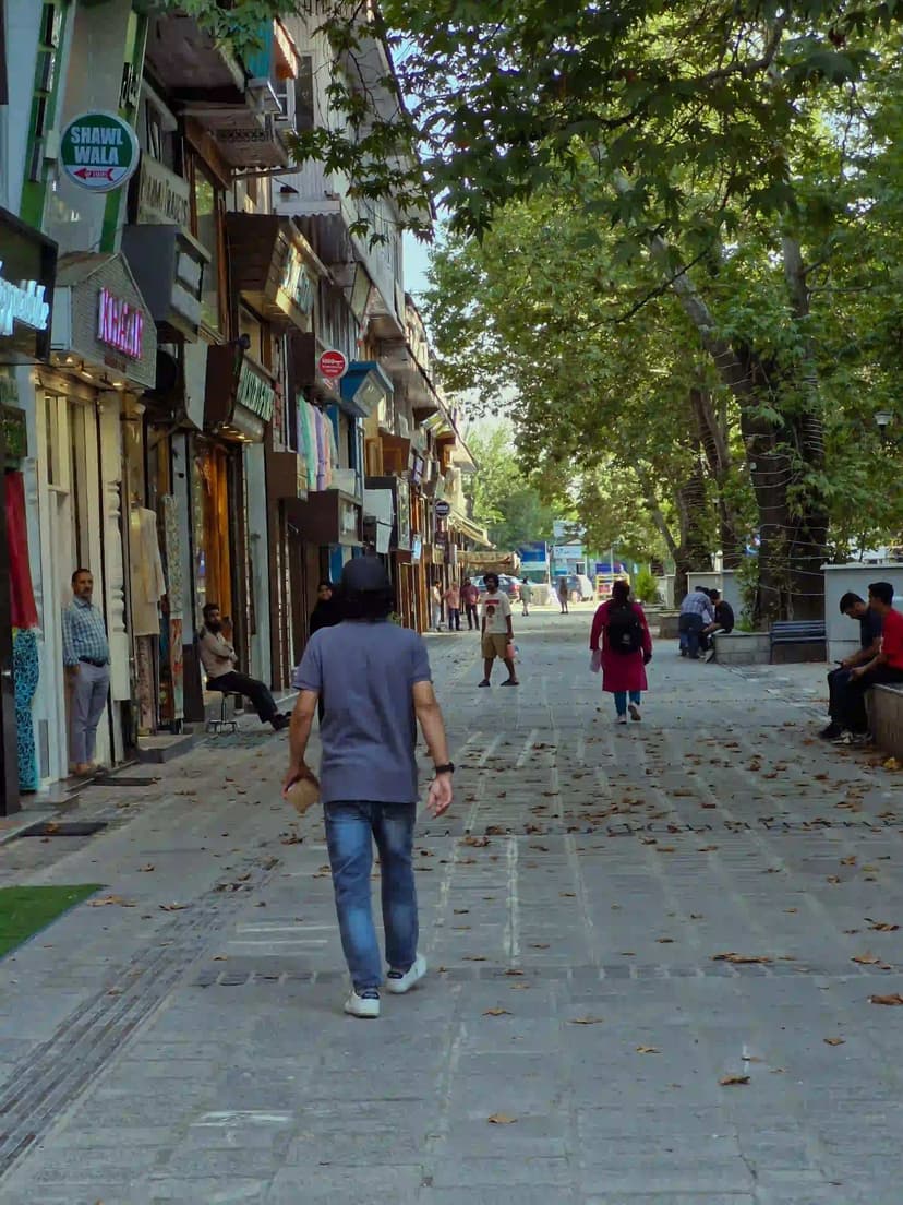Holiday Packages from Delhi to Shimla - 3