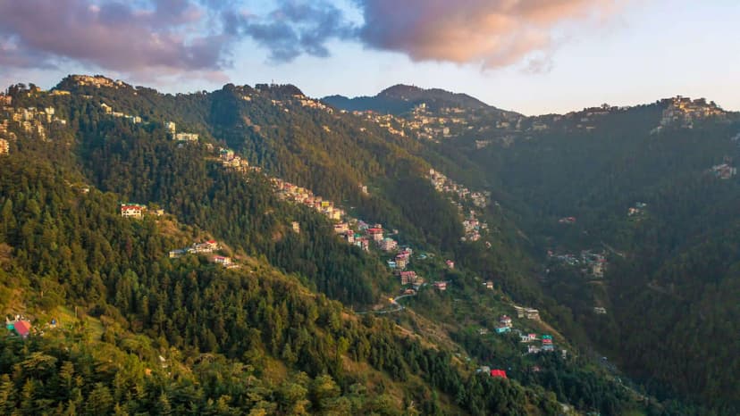 Shimla Package for 2 Days - 3