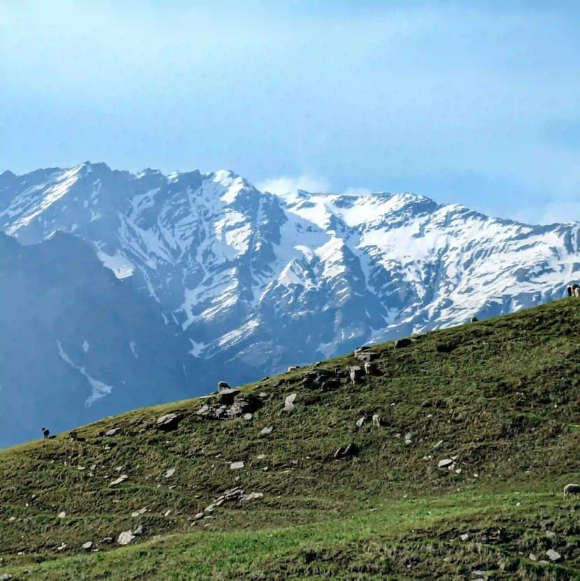 Manali Group Tour Package - 3